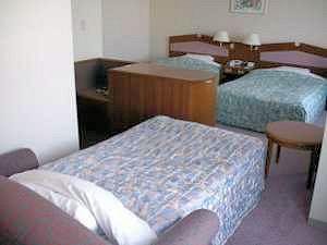 General view
 di Hotel Crescent Asahikawa