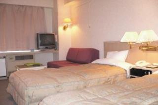 General view
 di Hotel Park Hills