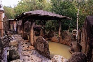 General view
 di Taisetsuzan Shirogane Kanko Hotel