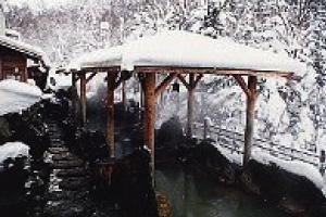 General view
 di Taisetsuzan Shirogane Kanko Hotel