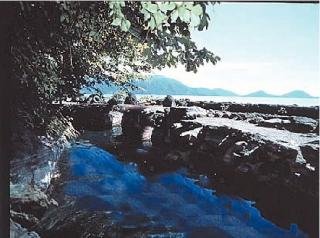 General view
 di Marukoma Onsen Ryokan