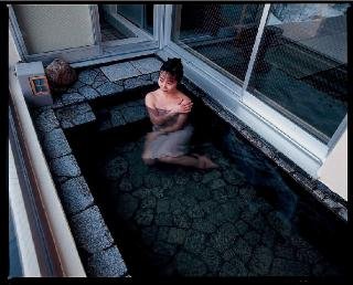 General view
 di Yumoto Niseko Prince Hotel Hirafutei