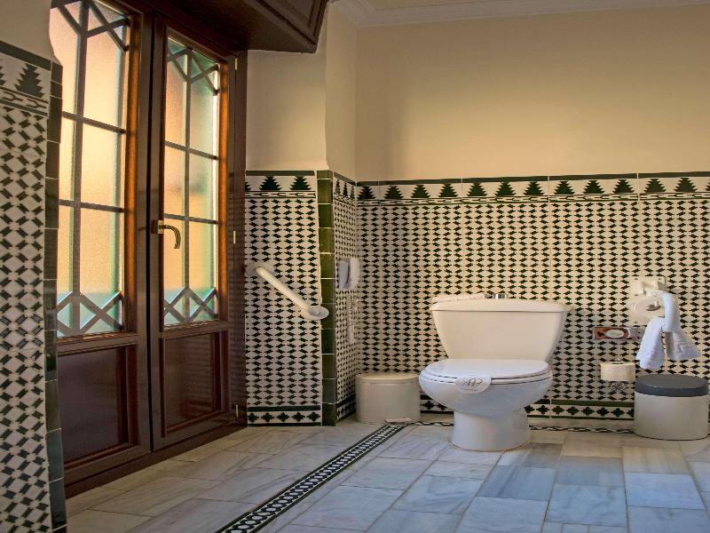 Hotel Alhambra Palace image