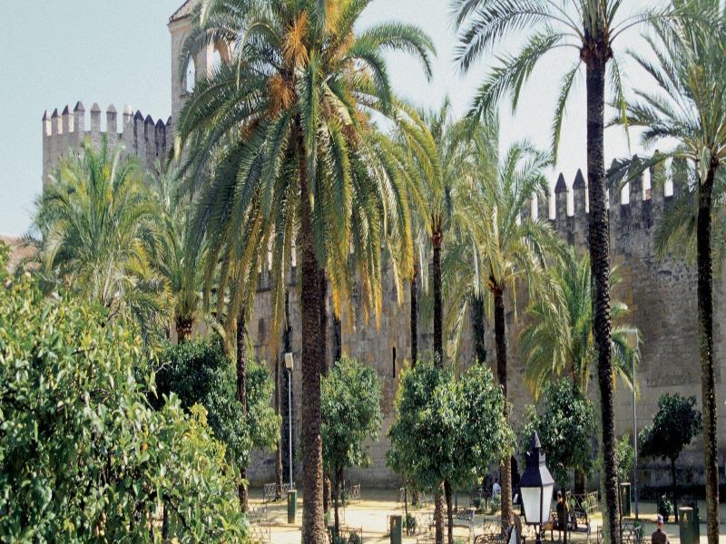 NH Collection Palacio de Cordoba image