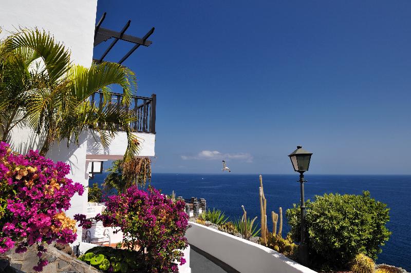 Hotel Jardín Tecina image