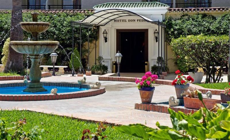 Sol Torremolinos Don Pedro photo 4