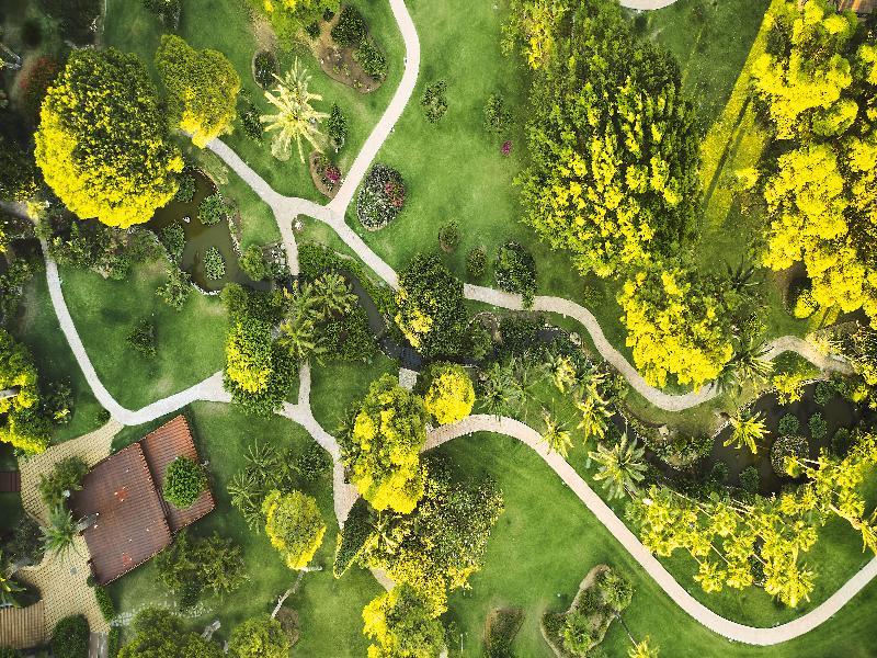 Don Carlos Marbella photo 2