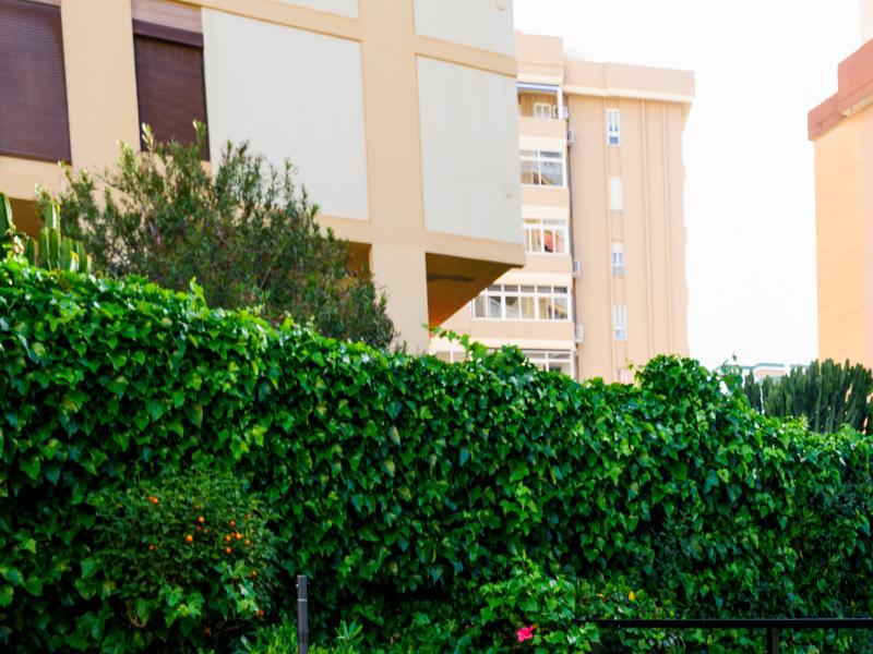 Monarque Fuengirola Park image