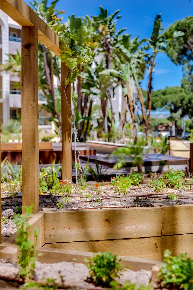 Falesia Hotel – Adults Only image