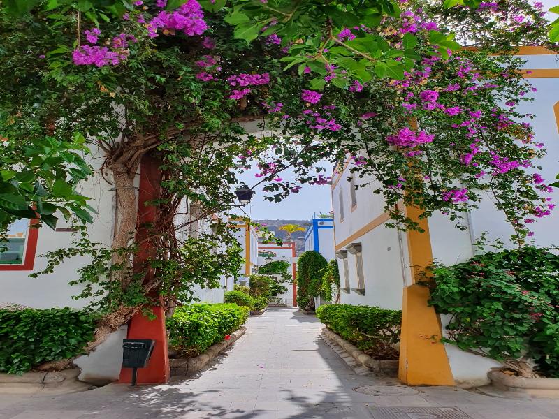 Billy’s Puerto de Mogán Apartments by LIVVO image