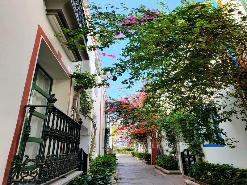 Billy’s Puerto de Mogán Apartments by LIVVO image