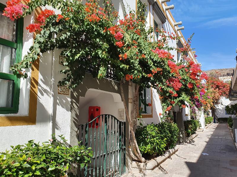 Billy’s Puerto de Mogán Apartments by LIVVO image
