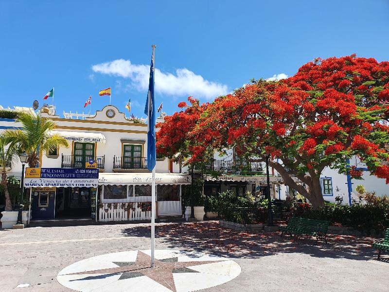 Billy’s Puerto de Mogán Apartments by LIVVO image
