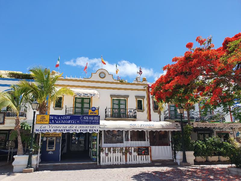 Billy’s Puerto de Mogán Apartments by LIVVO image