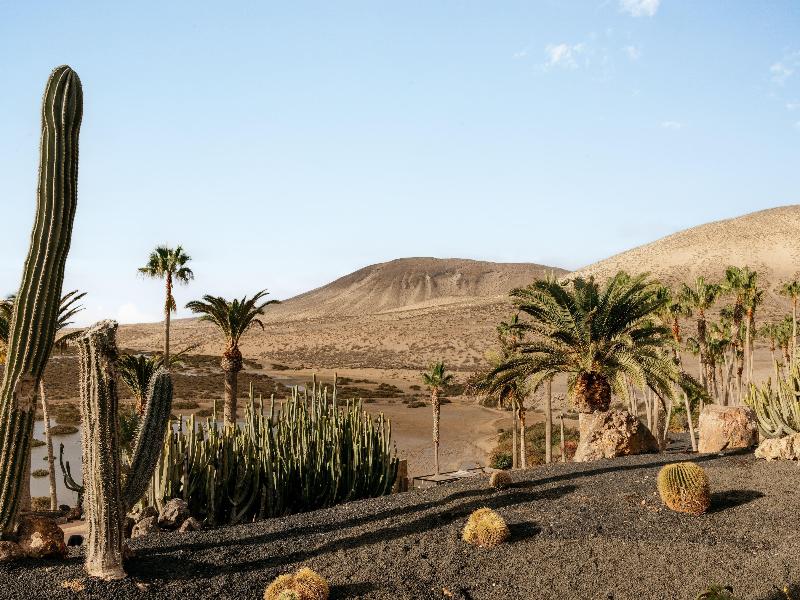 Paradisus by Melia Fuerteventura image