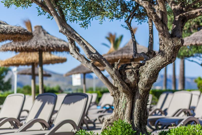Club del Sol & Spa image