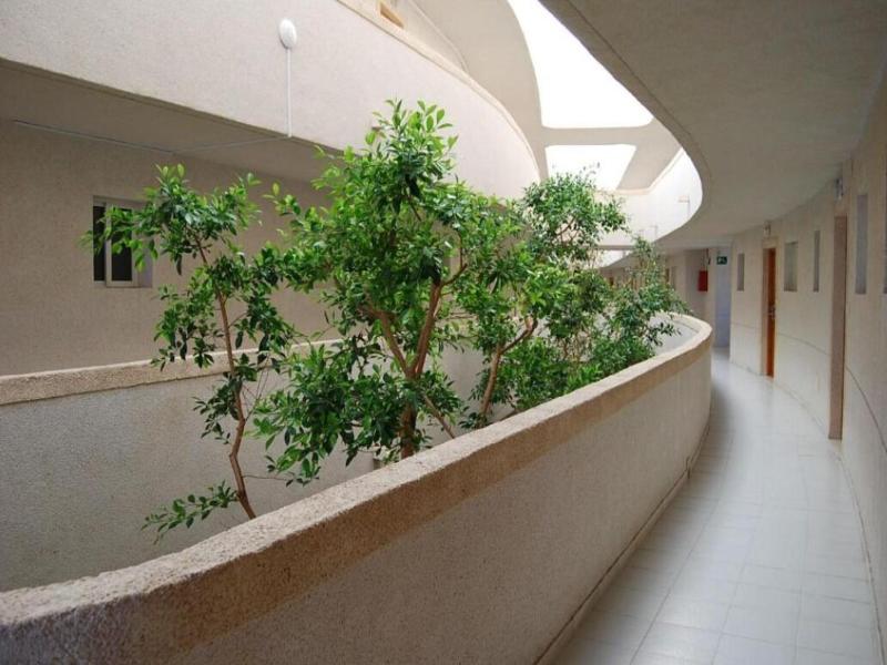 Palmera Beach image