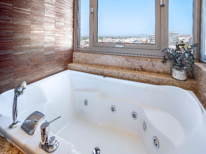 Melia Madrid Princesa image
