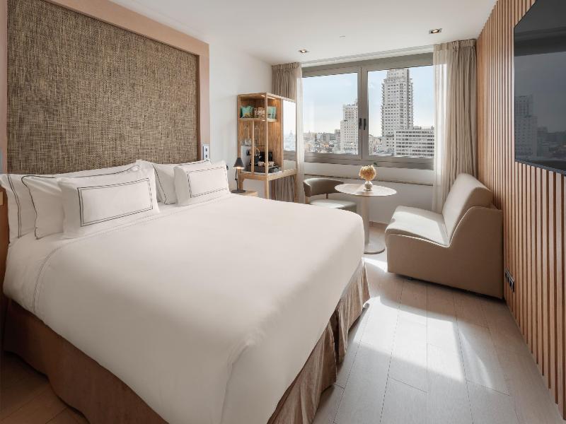 Melia Madrid Princesa image