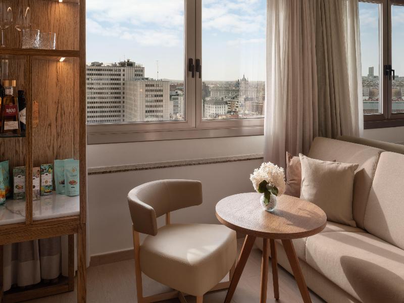 Melia Madrid Princesa image
