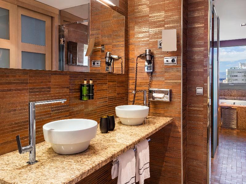 Melia Madrid Princesa image
