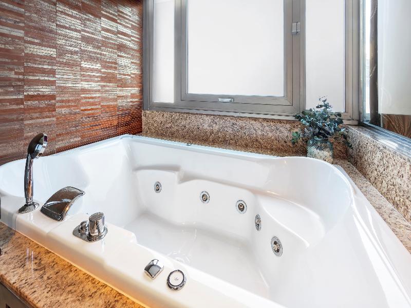 Melia Madrid Princesa image