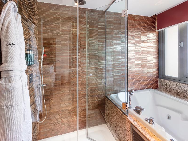 Melia Madrid Princesa image
