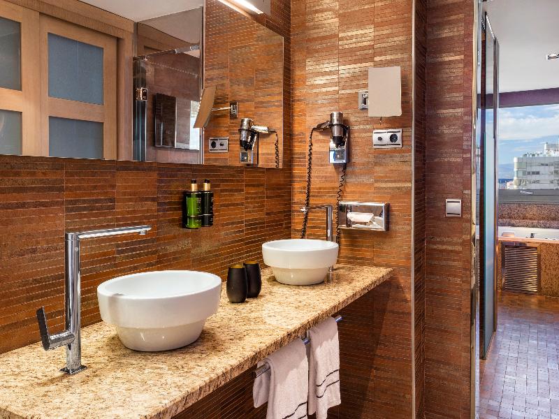 Melia Madrid Princesa image