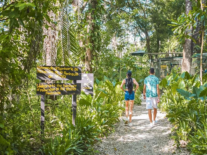 Barcelo Tambor All Inclusive image