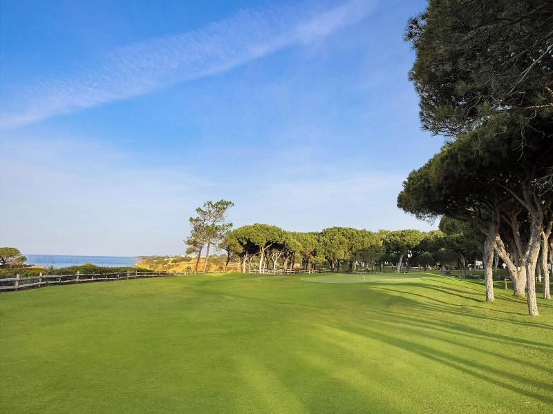 Pine Cliffs Hotel, a Luxury Collection Resort image
