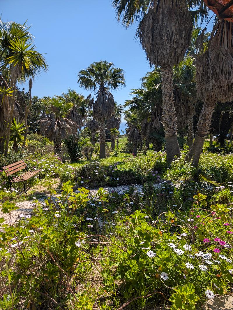 Quinta do Mar Country & Sea Village image