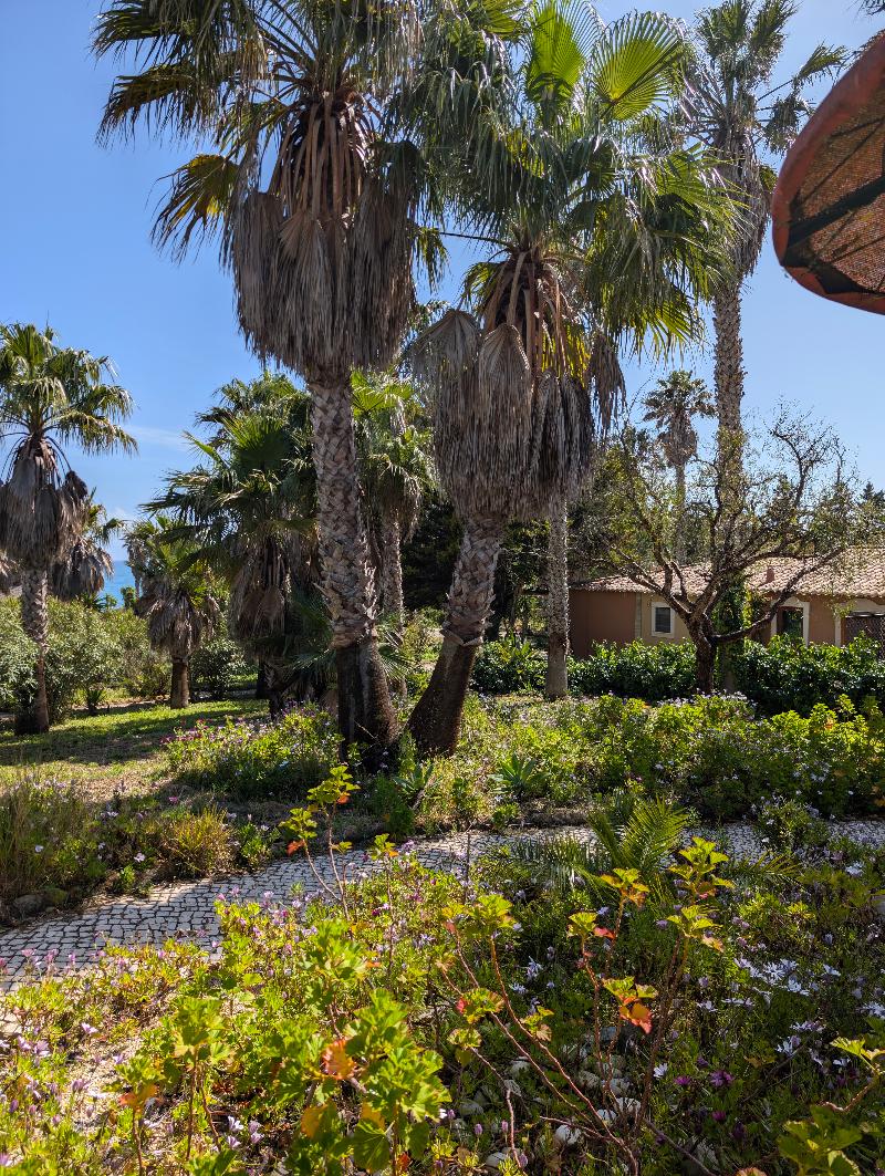 Quinta do Mar Country & Sea Village image