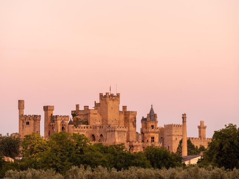 Parador de Olite image
