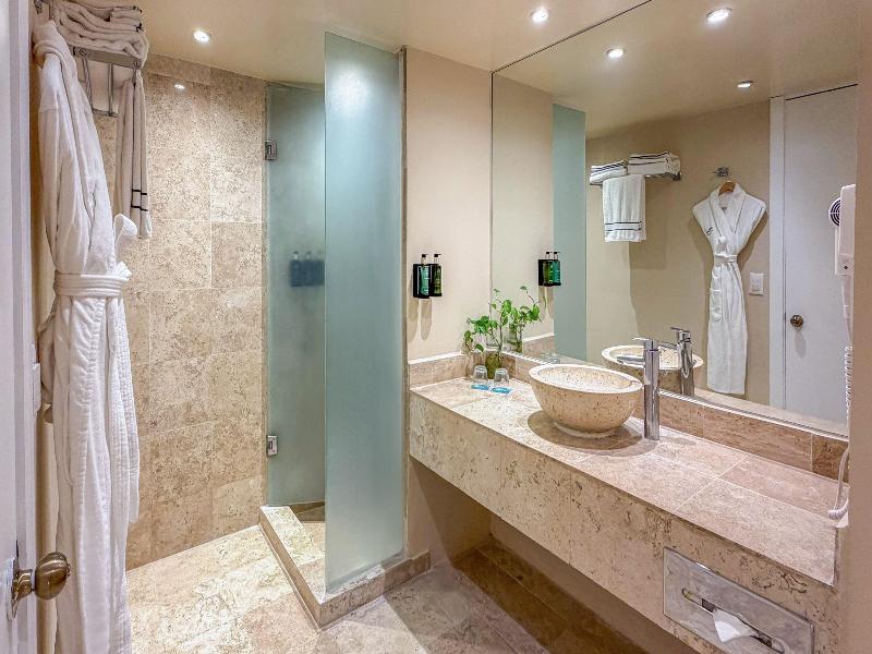 Melia Puerto Vallarta All Inclusive image