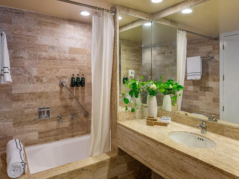 Melia Puerto Vallarta All Inclusive image