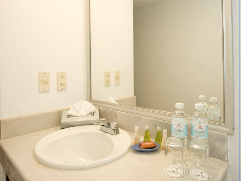 Vamar Vallarta All Inclusive Marina & Beach Resort image