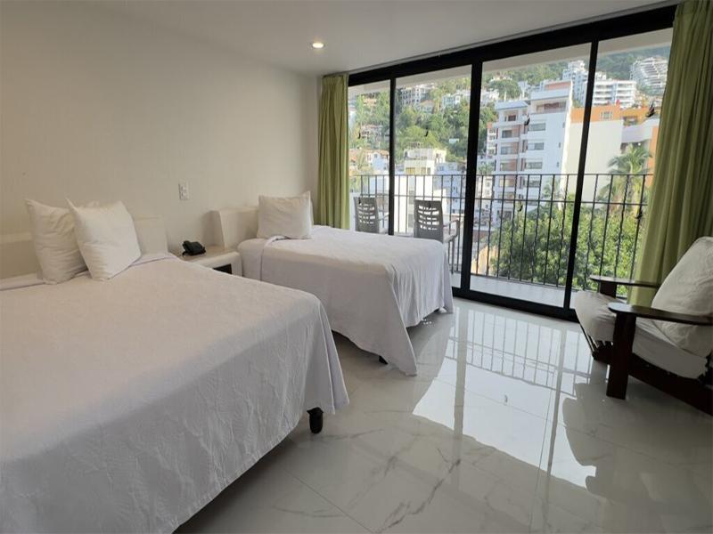 Hotel Delfin Puerto Vallarta image