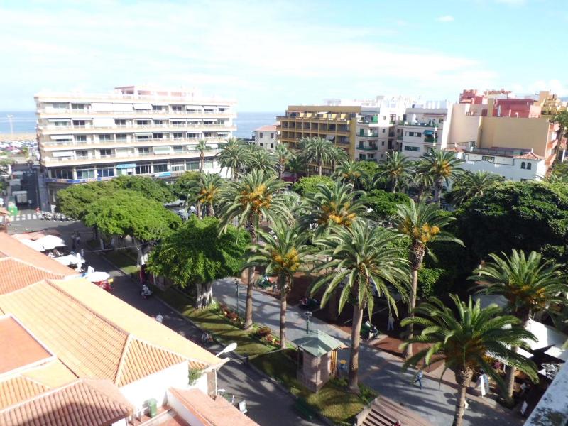 Tropical image