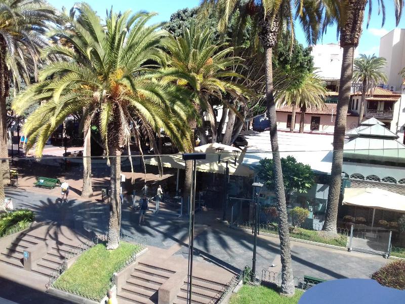 Tropical image