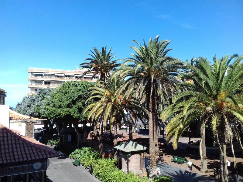 Tropical image