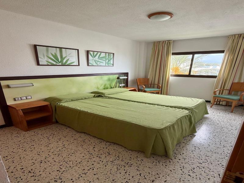 Los Ficus image