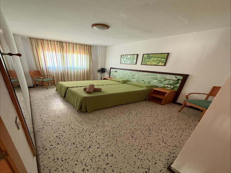 Los Ficus image