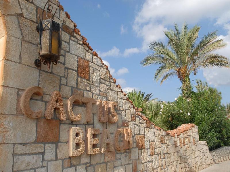 Cactus Beach image