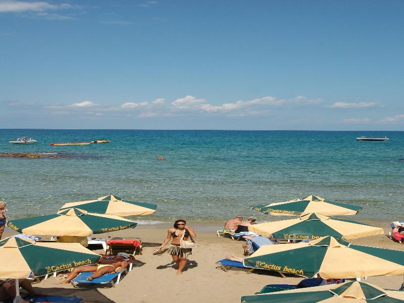 Cactus Beach image