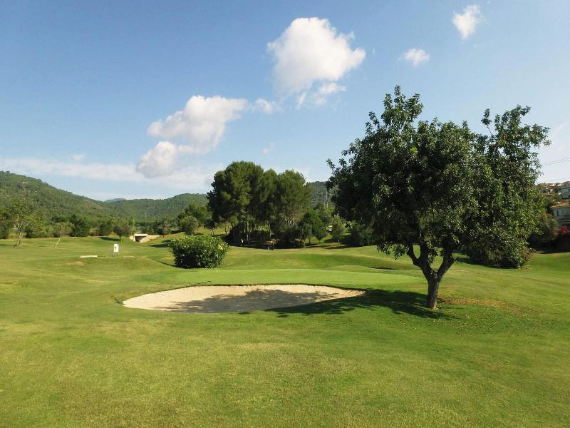 The St. Regis Mardavall Resort image