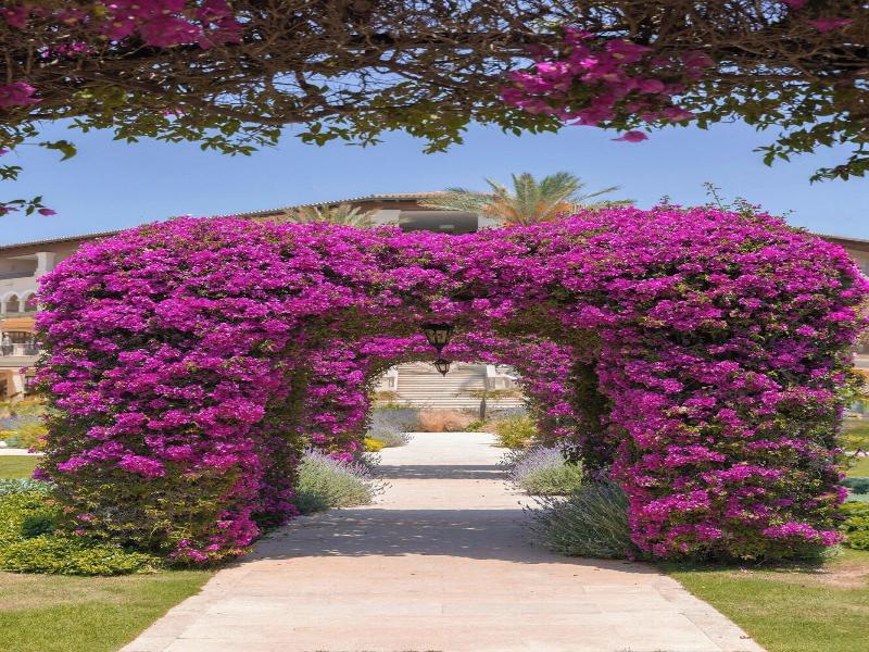 The St. Regis Mardavall Resort image