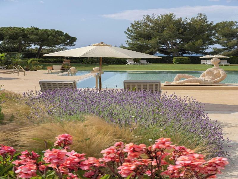 The St. Regis Mardavall Resort image