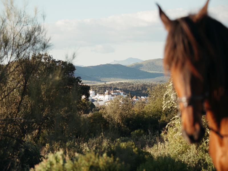Finca la Bobadilla, Leading Hotels of the World image
