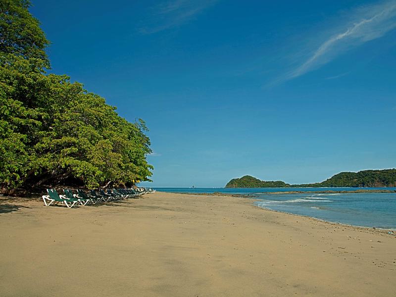 Occidental Papagayo - Adults Only - All Inclusive image