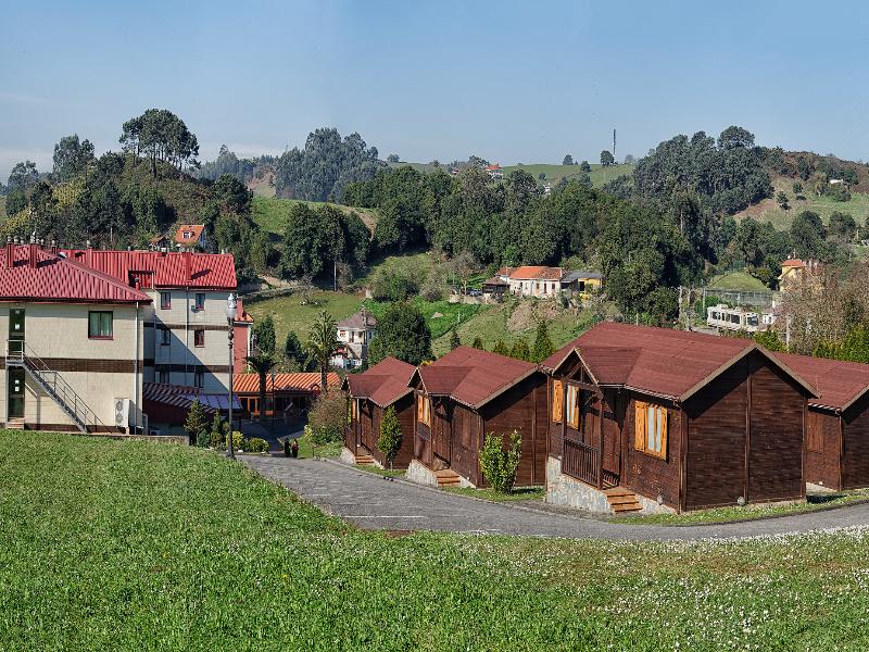 Piedra image 7